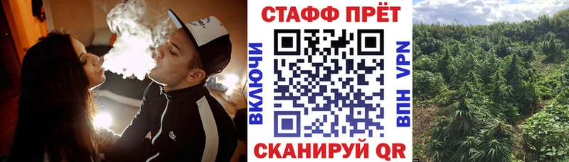 Наркотические вещества Луга Галлюциногенные грибы  АМФ  СК  Меф  Cocaine  ГАШ 