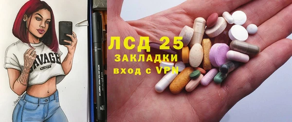 ГАЛЛЮЦИНОГЕННЫЕ ГРИБЫ Алексеевка