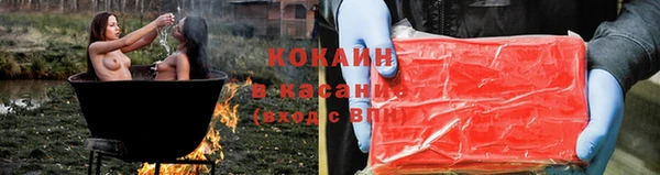 крисы Алзамай