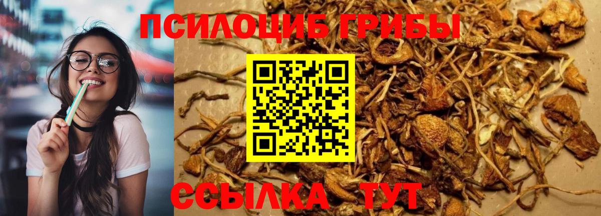 Кокаин  Луга  Вход с VPN  Меф   Экстази  Каннабис  Гашиш 