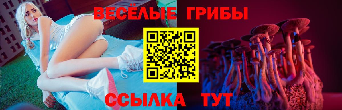 Псилоцибиновые грибы мухоморы  Вход с VPN  Луга  Галлюциногенные грибы Cubensis 