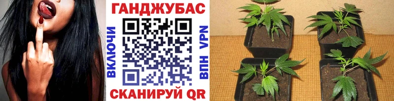 Бошки марихуана Bruce Banner купить закладку Луга